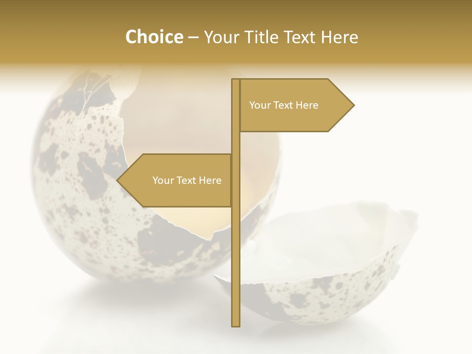 Studio Shot Food Quail Egg PowerPoint Template