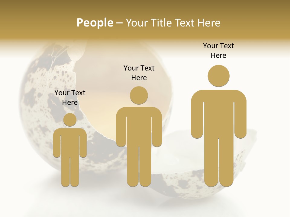 Studio Shot Food Quail Egg PowerPoint Template