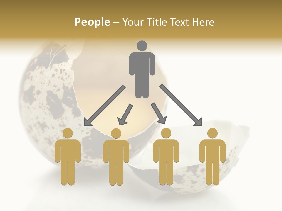 Studio Shot Food Quail Egg PowerPoint Template