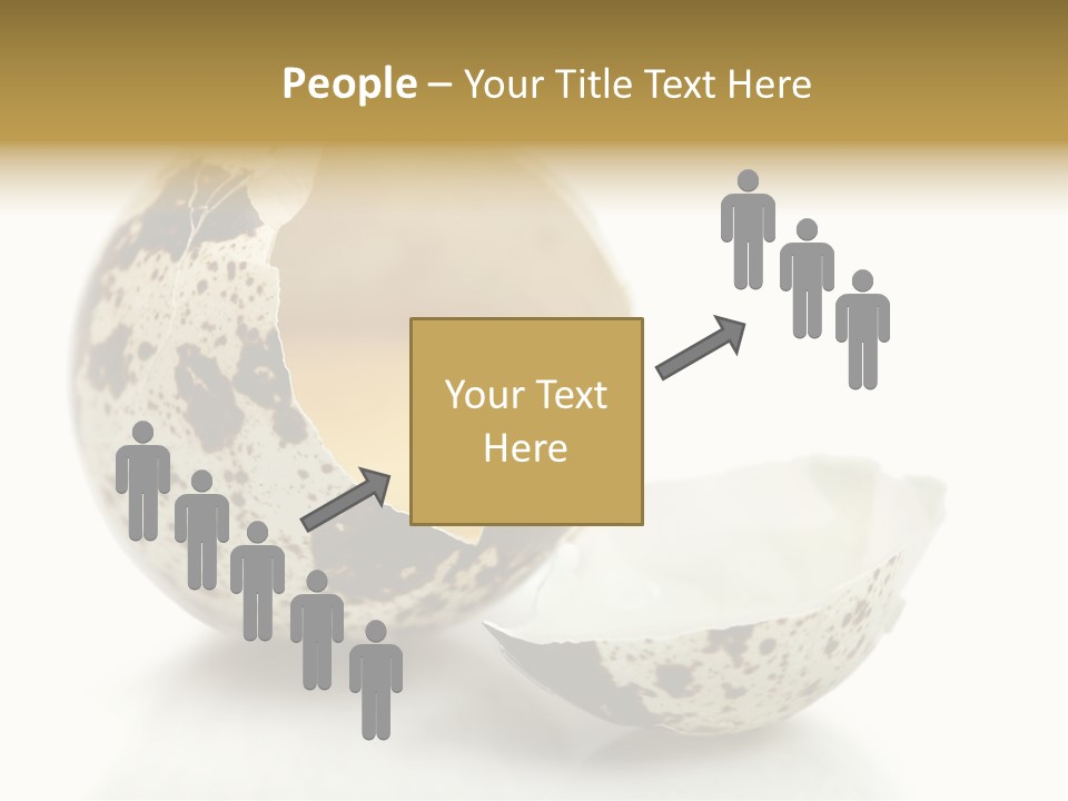 Studio Shot Food Quail Egg PowerPoint Template