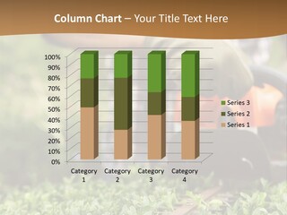 Cool Asahikawa Silhouette PowerPoint Template