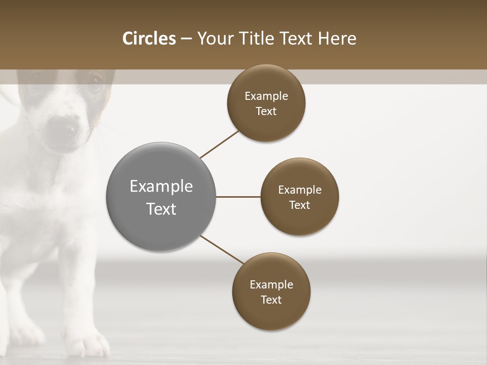 Trill Trendy Beautiful PowerPoint Template