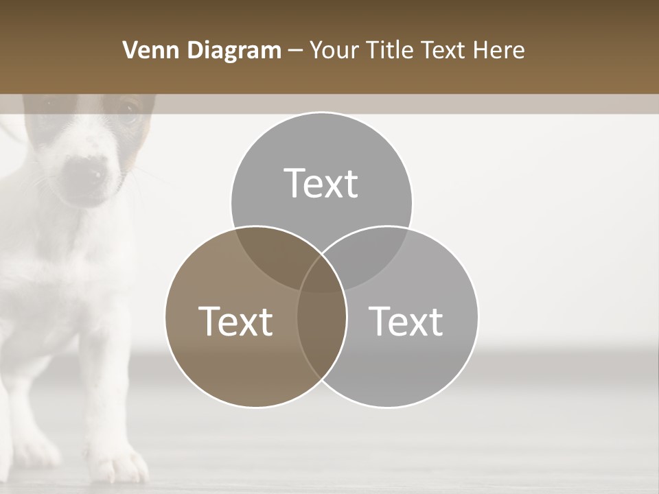 Trill Trendy Beautiful PowerPoint Template