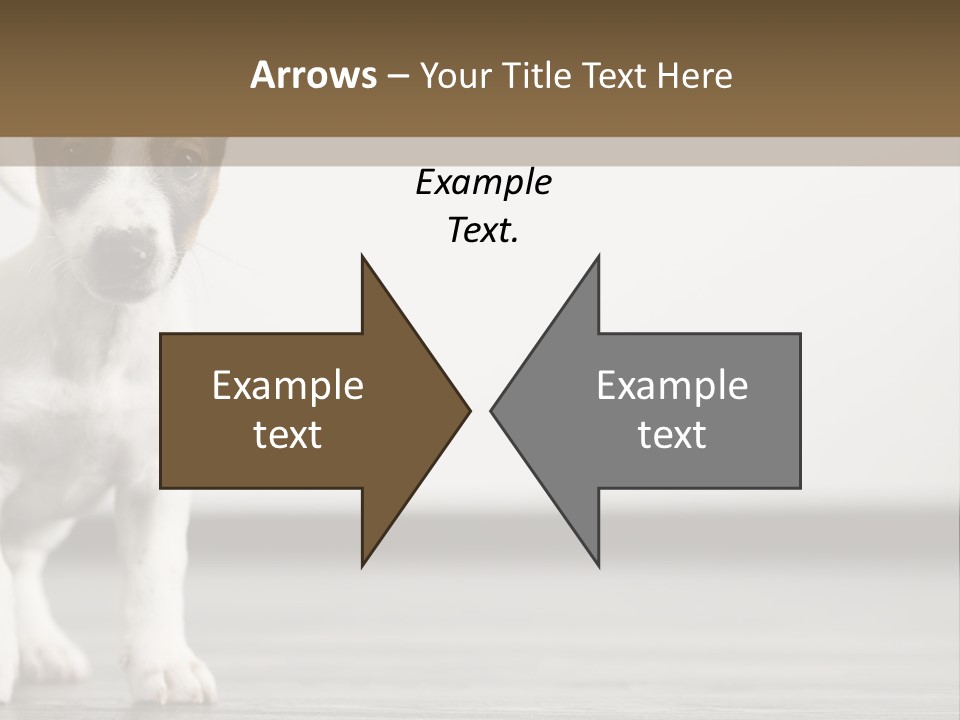 Trill Trendy Beautiful PowerPoint Template