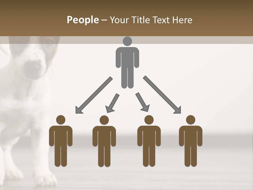 Trill Trendy Beautiful PowerPoint Template