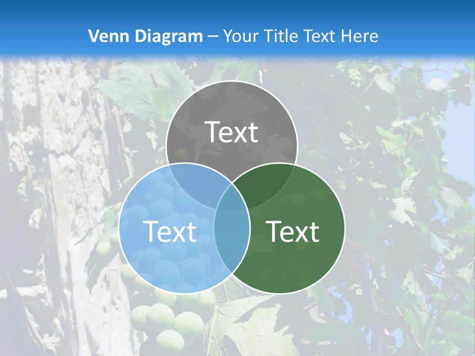 Illustration Melody Trill PowerPoint Template