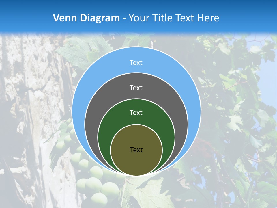 Illustration Melody Trill PowerPoint Template
