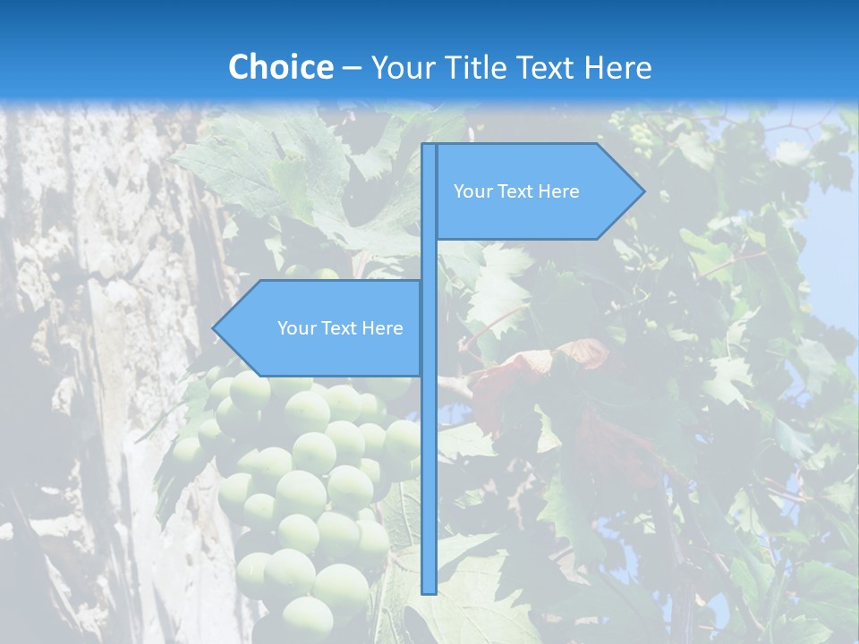 Illustration Melody Trill PowerPoint Template