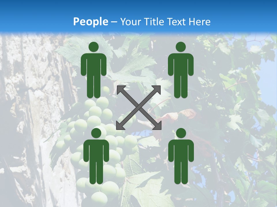 Illustration Melody Trill PowerPoint Template