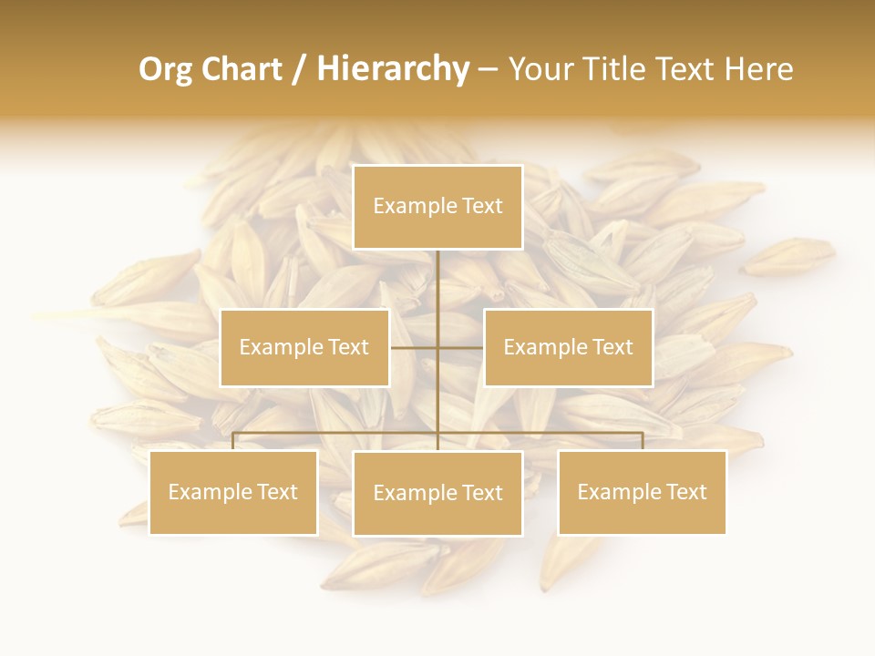A Pile Of Oats On A White Surface PowerPoint Template