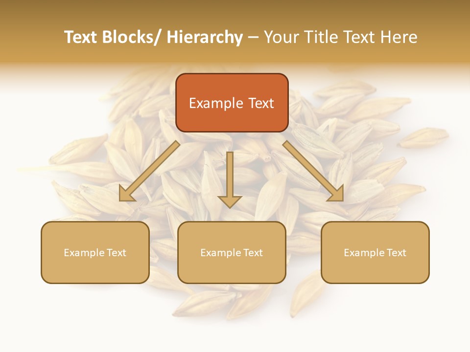 A Pile Of Oats On A White Surface PowerPoint Template