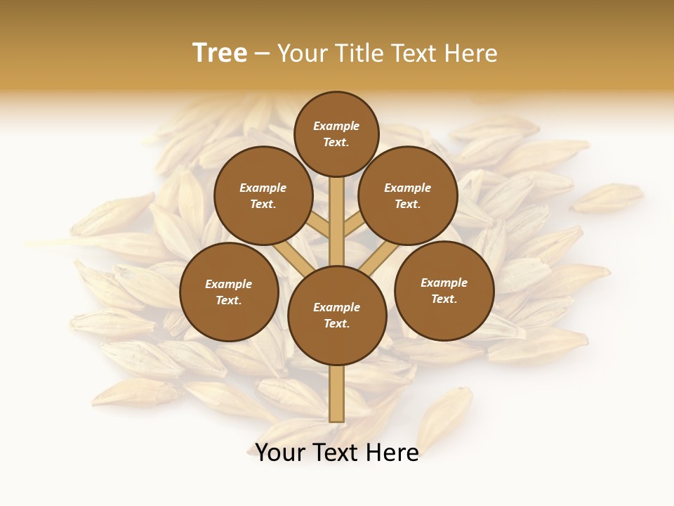 A Pile Of Oats On A White Surface PowerPoint Template