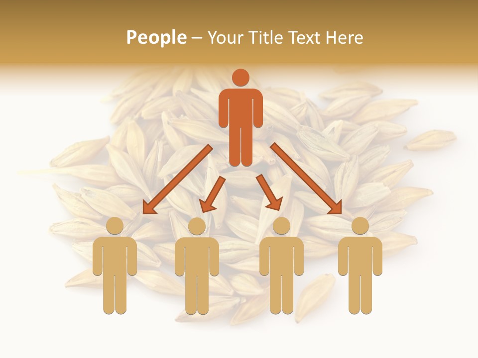 A Pile Of Oats On A White Surface PowerPoint Template