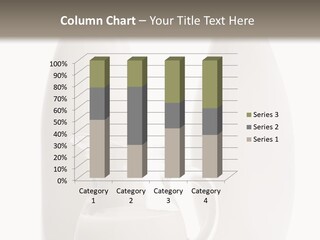 Residential Classical Plumbing PowerPoint Template