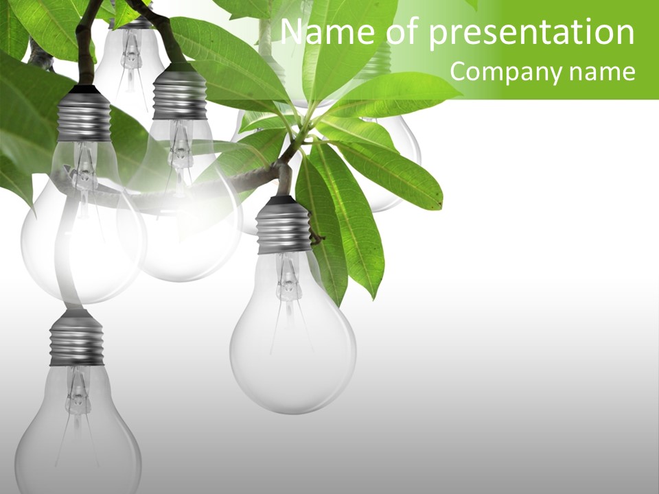 A Bunch Of Light Bulbs Hanging From A Tree PowerPoint Template
