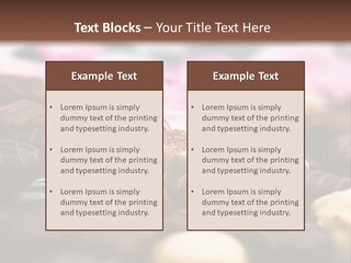 Celebration Caramel Confection PowerPoint Template