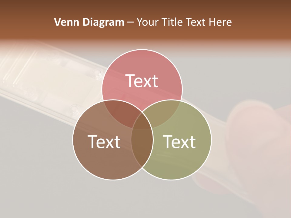 Scales Figure Girl PowerPoint Template