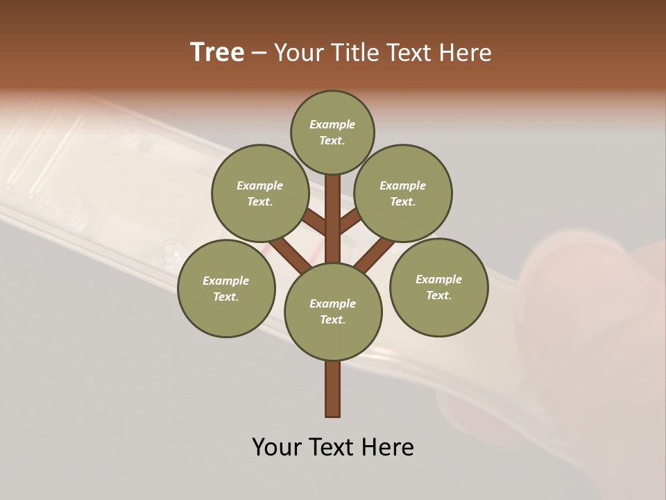 Scales Figure Girl PowerPoint Template