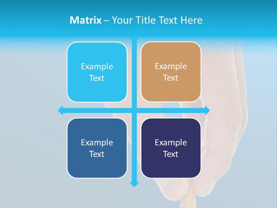 Scales Weight Cellulite PowerPoint Template
