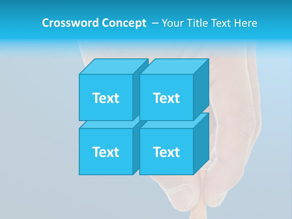 Scales Weight Cellulite PowerPoint Template