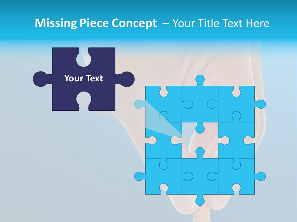 Scales Weight Cellulite PowerPoint Template