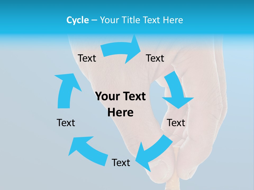 Scales Weight Cellulite PowerPoint Template