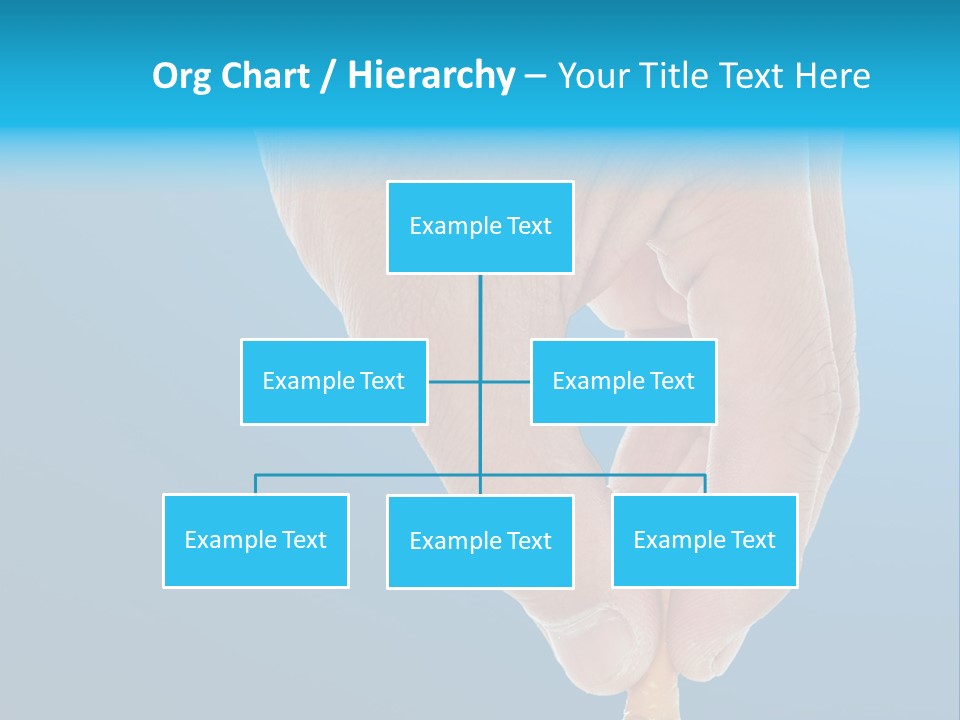 Scales Weight Cellulite PowerPoint Template