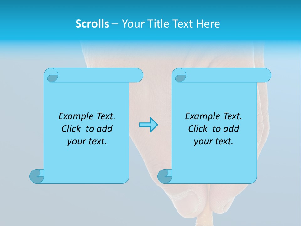 Scales Weight Cellulite PowerPoint Template