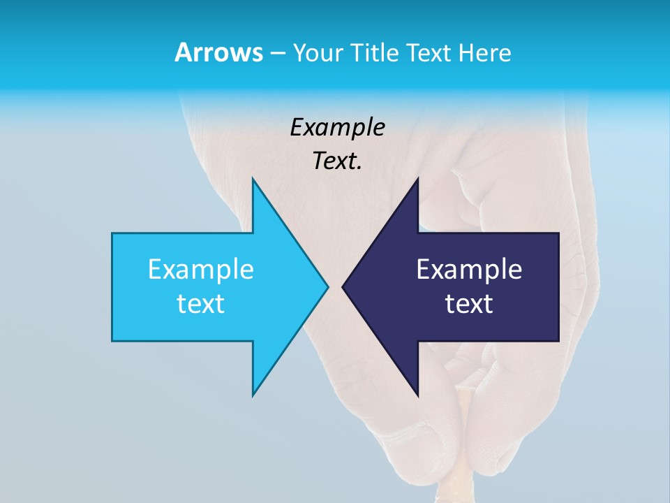 Scales Weight Cellulite PowerPoint Template
