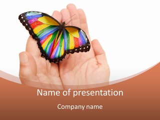 A Person Holding A Colorful Butterfly In Their Hands PowerPoint Template