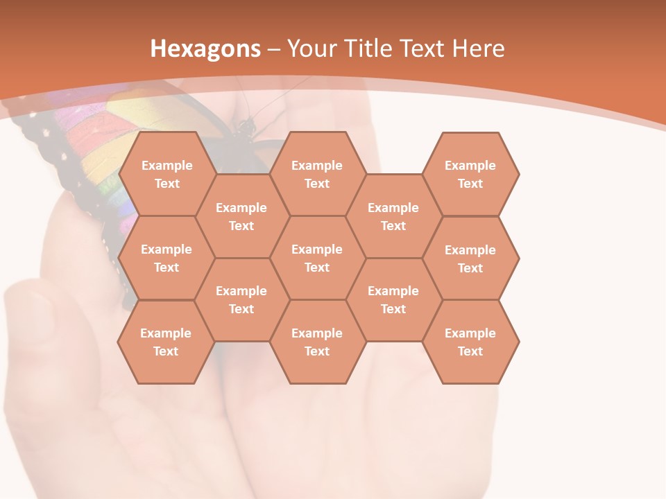 A Person Holding A Colorful Butterfly In Their Hands PowerPoint Template