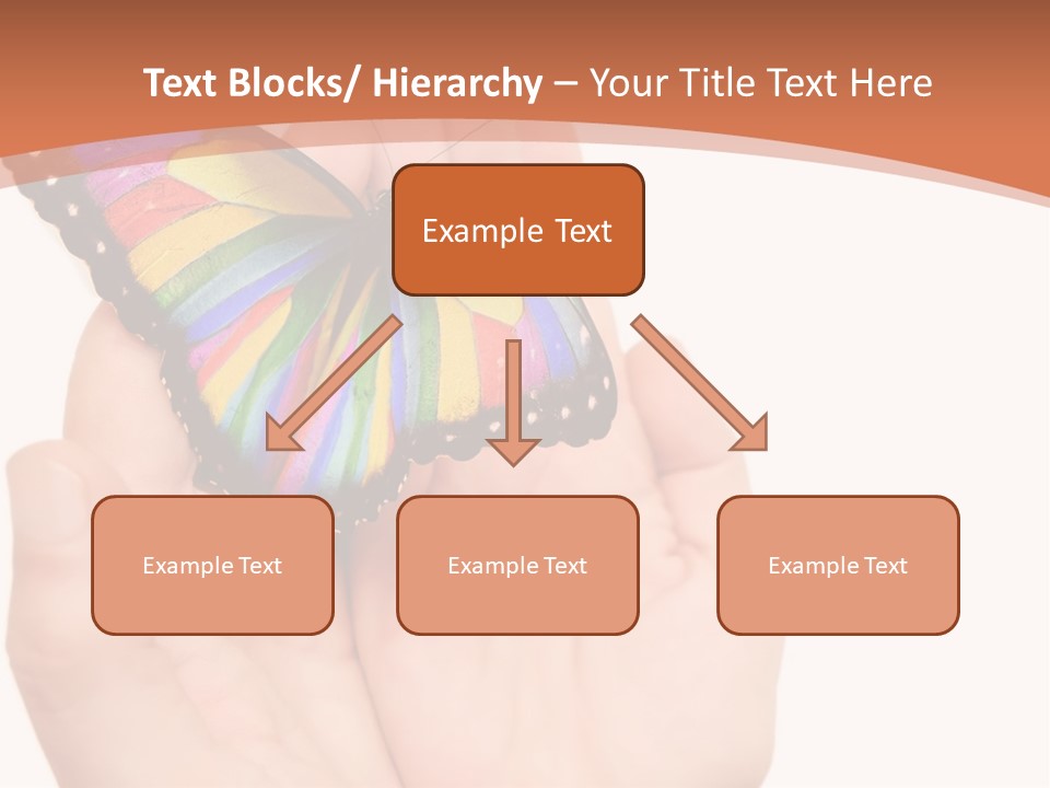 A Person Holding A Colorful Butterfly In Their Hands PowerPoint Template