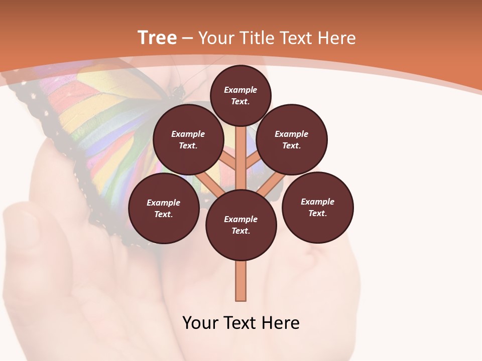 A Person Holding A Colorful Butterfly In Their Hands PowerPoint Template