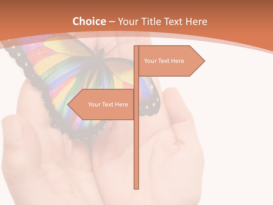 A Person Holding A Colorful Butterfly In Their Hands PowerPoint Template