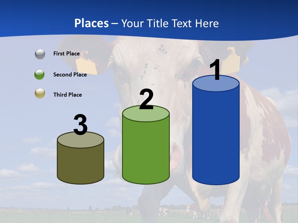 A Cow Standing In A Field With A Sky Background PowerPoint Template