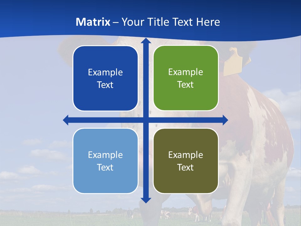 A Cow Standing In A Field With A Sky Background PowerPoint Template