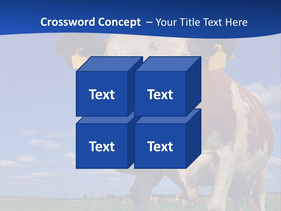 A Cow Standing In A Field With A Sky Background PowerPoint Template