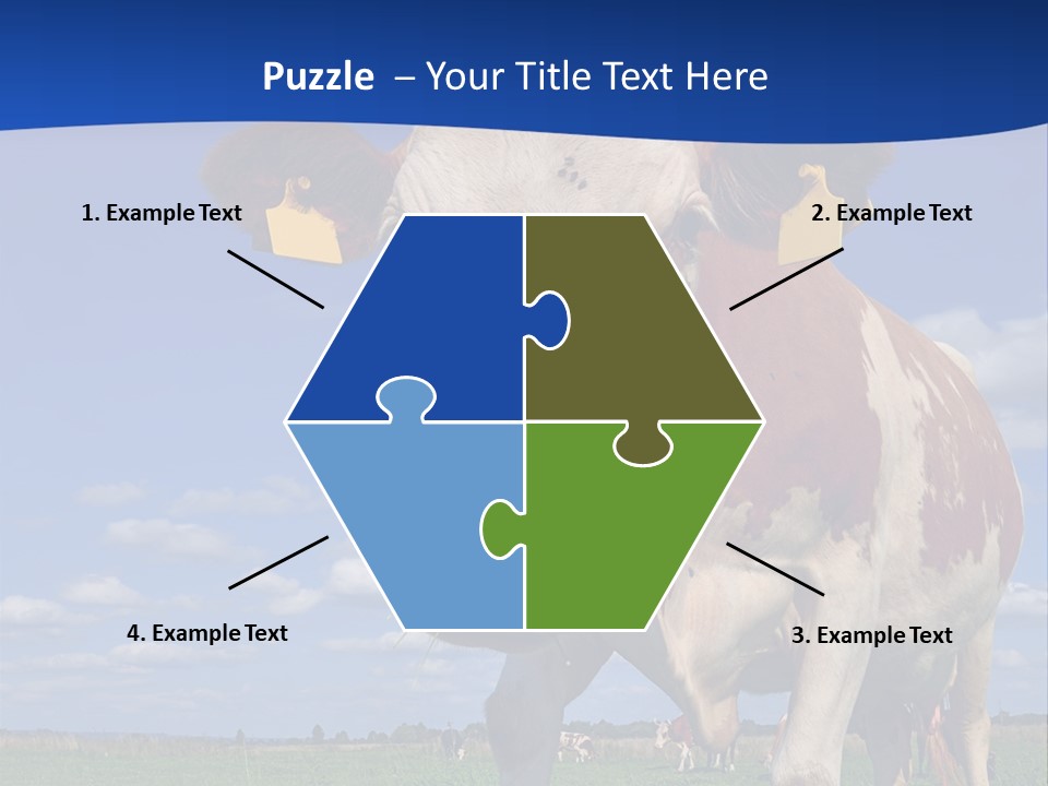 A Cow Standing In A Field With A Sky Background PowerPoint Template