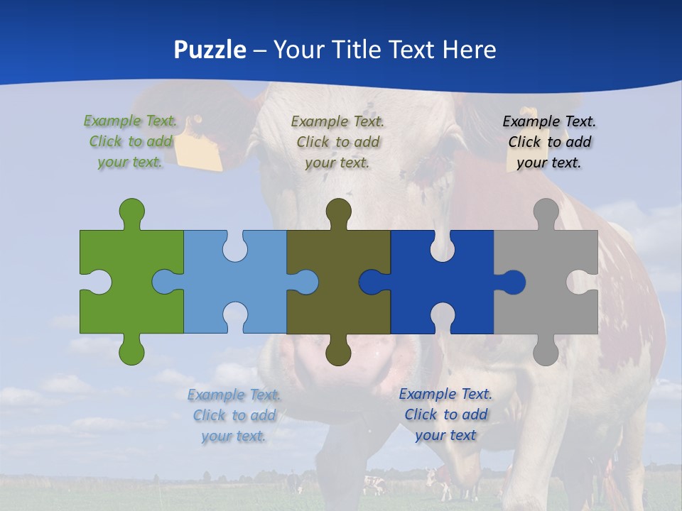 A Cow Standing In A Field With A Sky Background PowerPoint Template