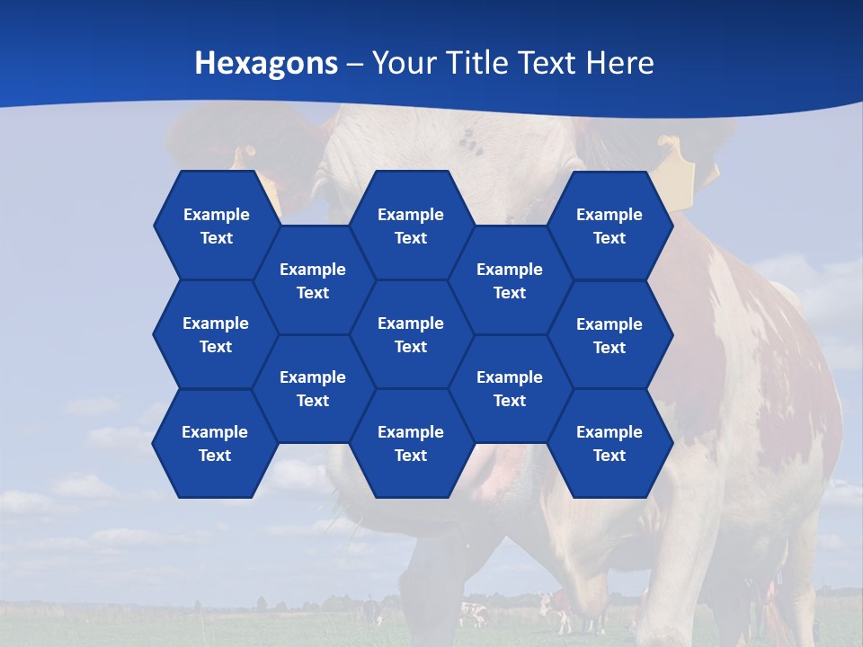 A Cow Standing In A Field With A Sky Background PowerPoint Template