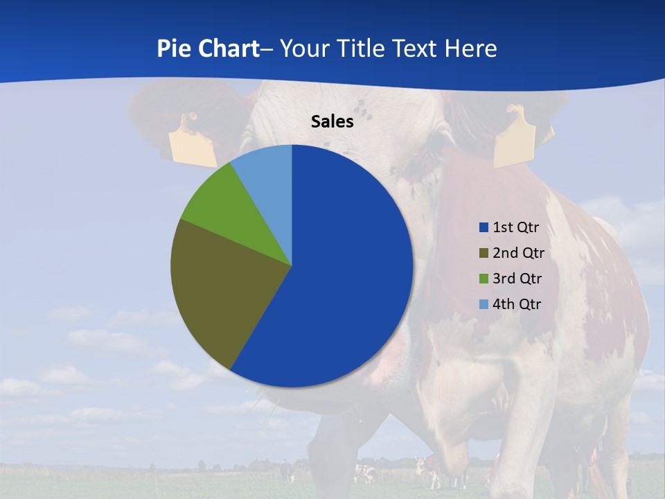 A Cow Standing In A Field With A Sky Background PowerPoint Template