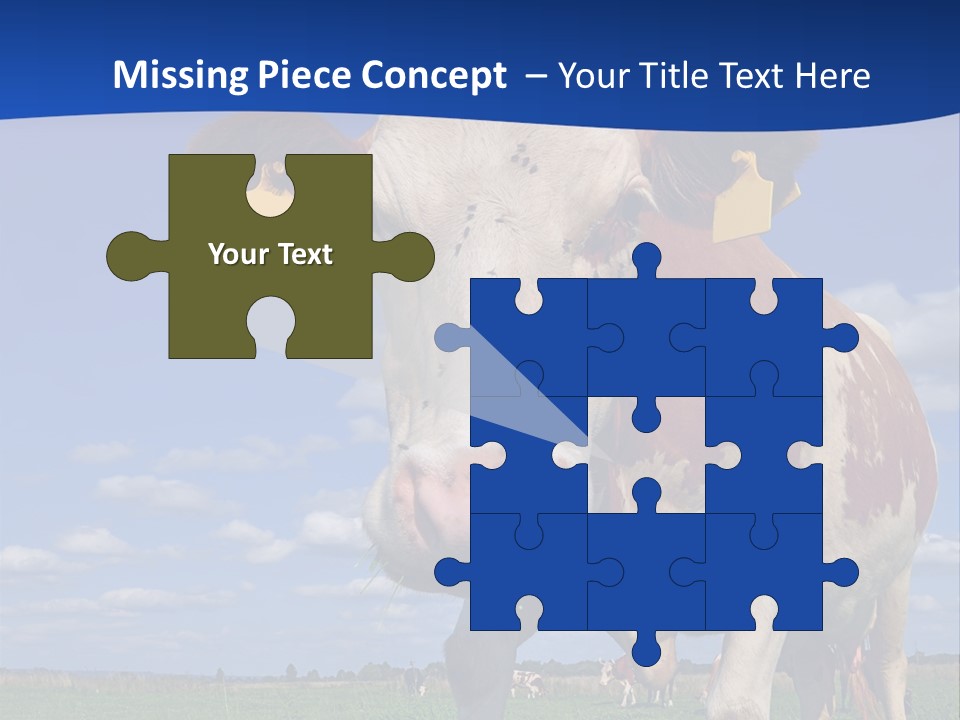 A Cow Standing In A Field With A Sky Background PowerPoint Template