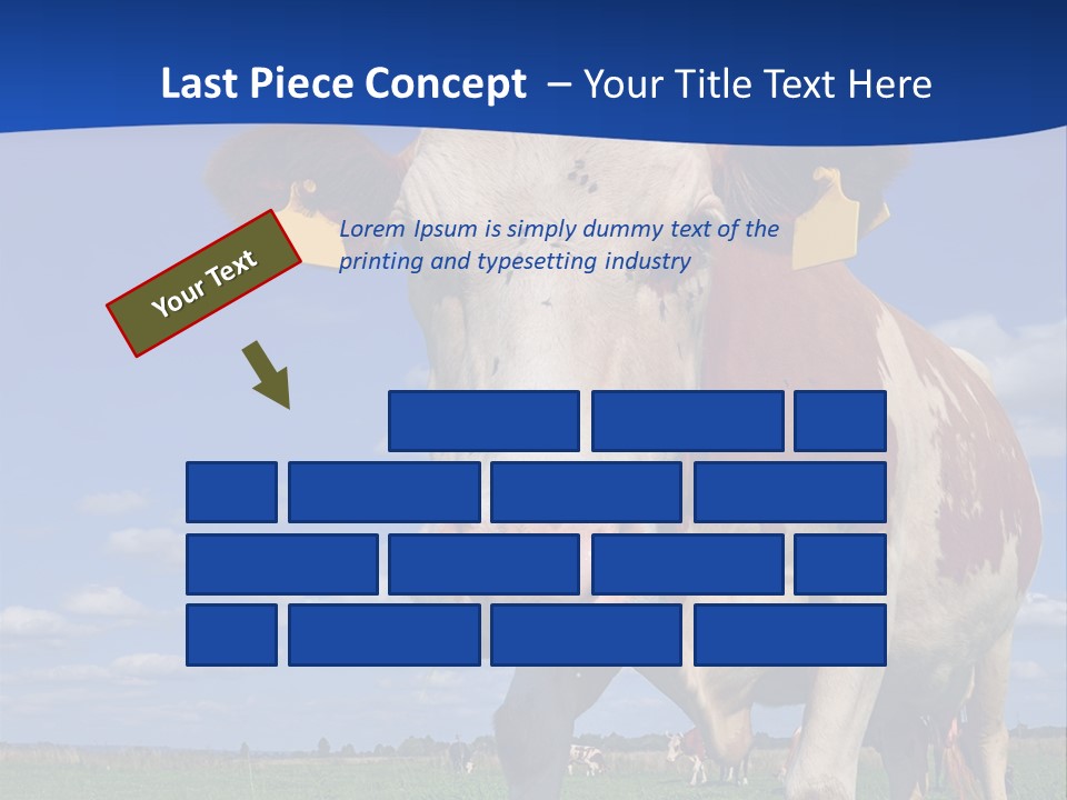 A Cow Standing In A Field With A Sky Background PowerPoint Template