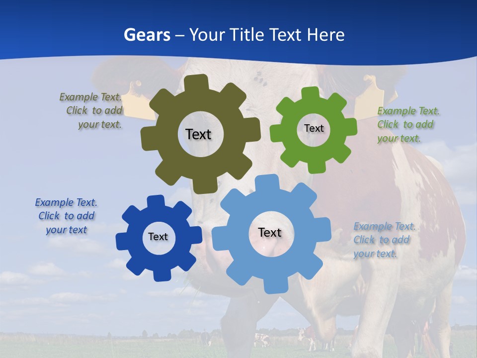 A Cow Standing In A Field With A Sky Background PowerPoint Template