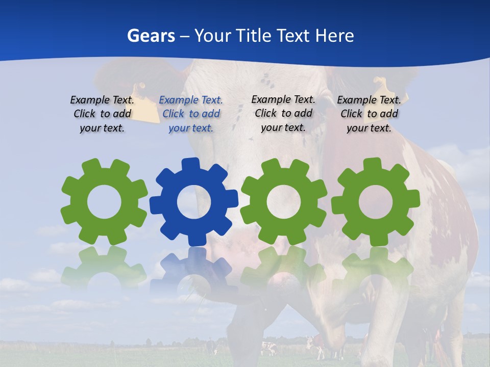 A Cow Standing In A Field With A Sky Background PowerPoint Template