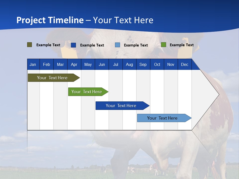 A Cow Standing In A Field With A Sky Background PowerPoint Template