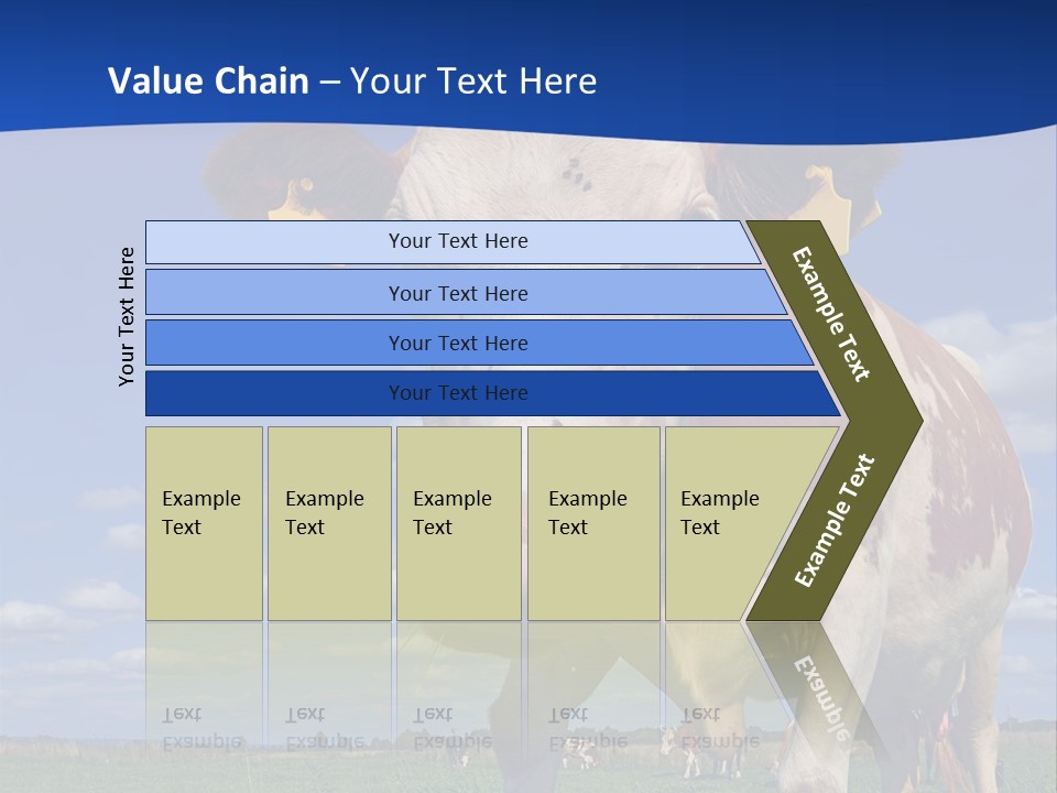 A Cow Standing In A Field With A Sky Background PowerPoint Template