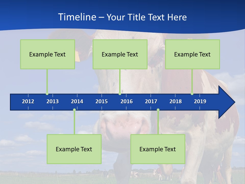 A Cow Standing In A Field With A Sky Background PowerPoint Template