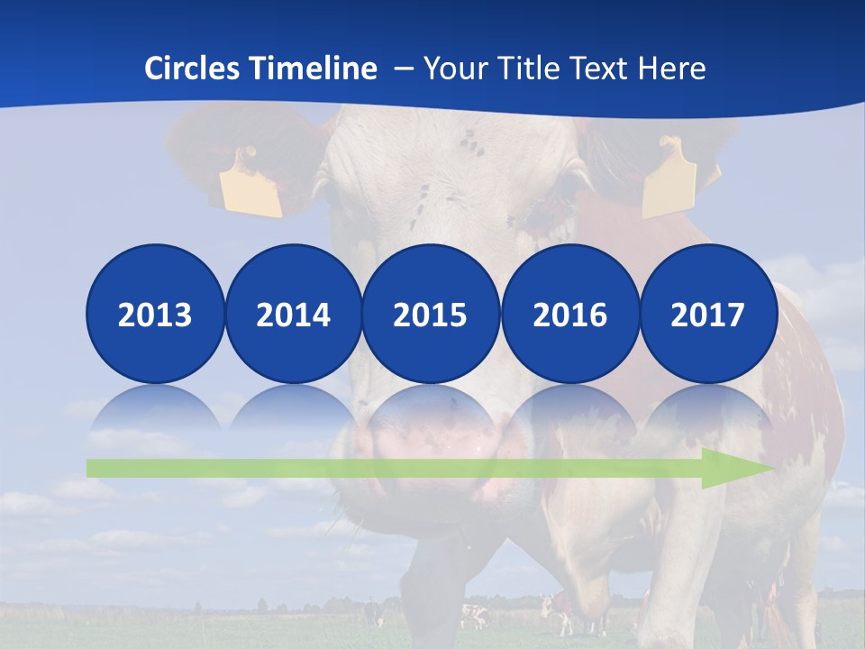 A Cow Standing In A Field With A Sky Background PowerPoint Template