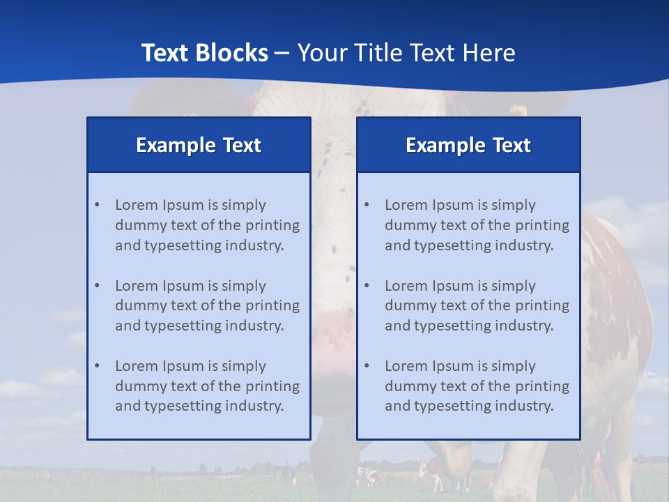 A Cow Standing In A Field With A Sky Background PowerPoint Template